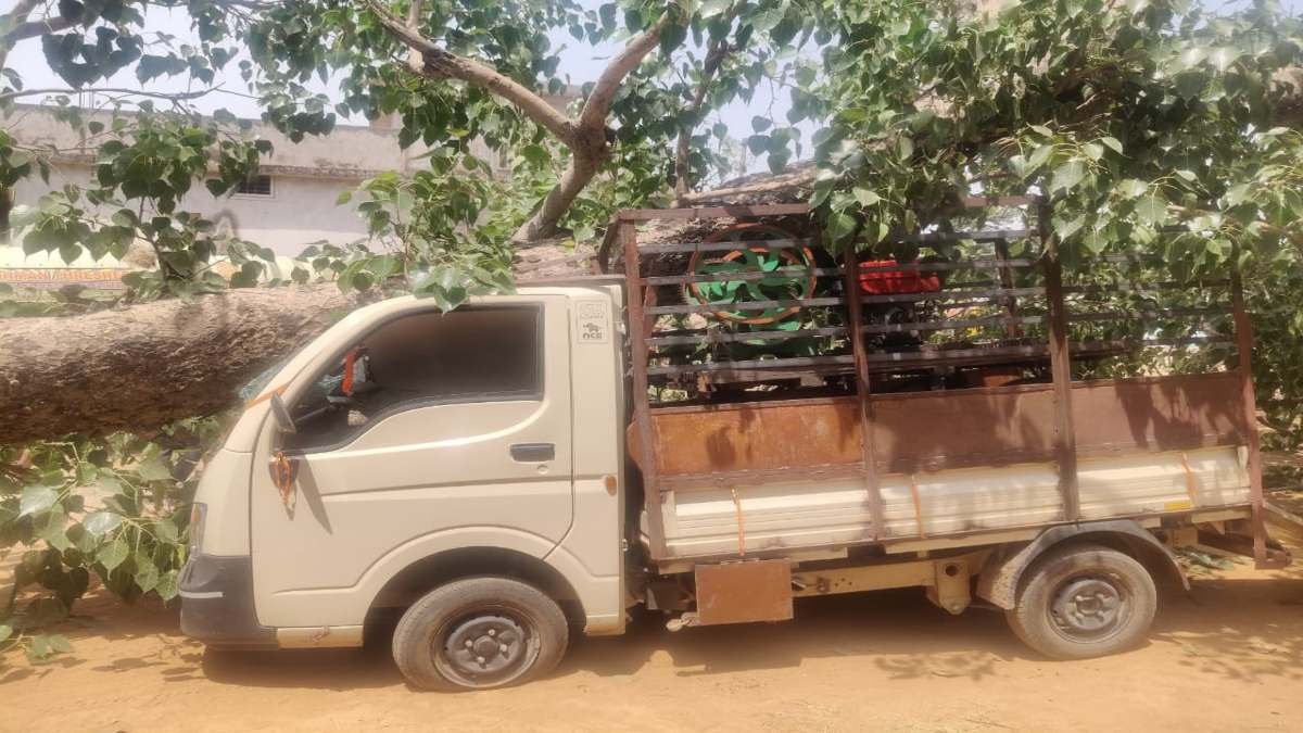 गरियाबंद में सुशासन तिहार के दौरान बड़ा हादसा, अचानक गिरा विशाल पीपल का पेड़, 7 लोग घायल