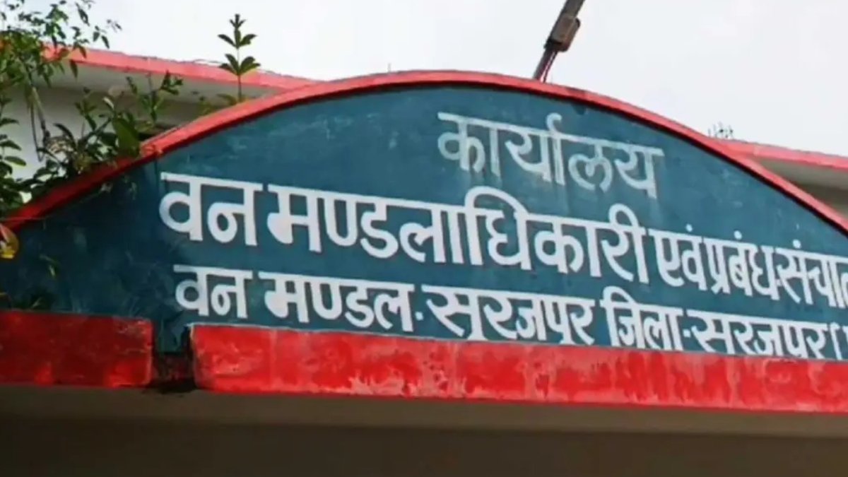 दर्दनाक हादसा, एक साथ तीन भालुओं की मौत से मचा हड़कंप, करंट लगने की आशंका ने बढ़ाई चिंता