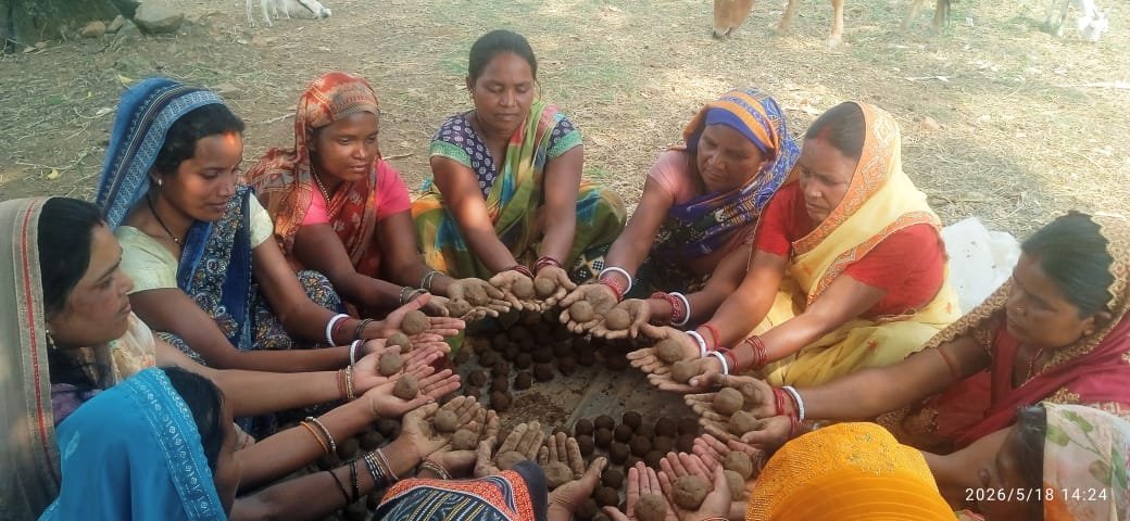 रायपुर : सीड बॉल बनाकर प्रकृति संरक्षण की अनूठी पहल, हरित जशपुर के निर्माण पर जोर
