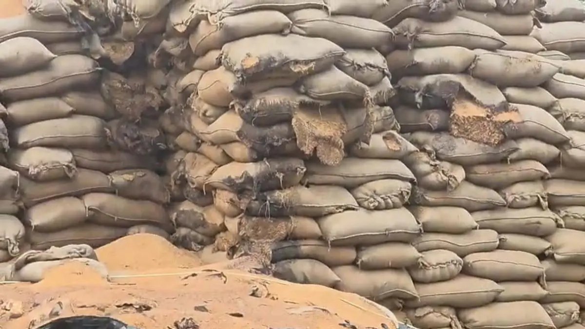 8 करोड़ के धान का बड़ा खेल! 24 हजार क्विंटल फसल खराब, रिकॉर्ड से 12 हजार क्विंटल धान गायब होने पर उठे गंभीर सवाल