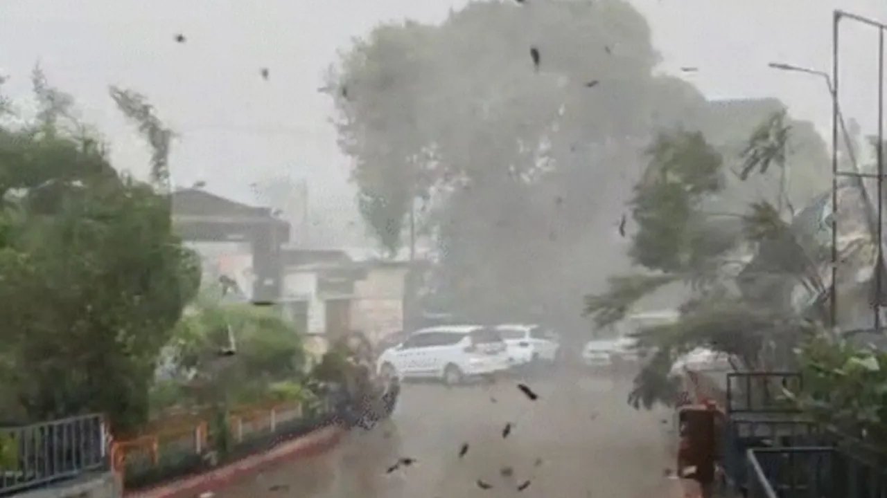 CG Weather Update: छत्तीसगढ़ में मानसून हुआ सक्रिय, कई जिलों में झमाझम बारिश, मौसम विभाग ने जारी किया अलर्ट