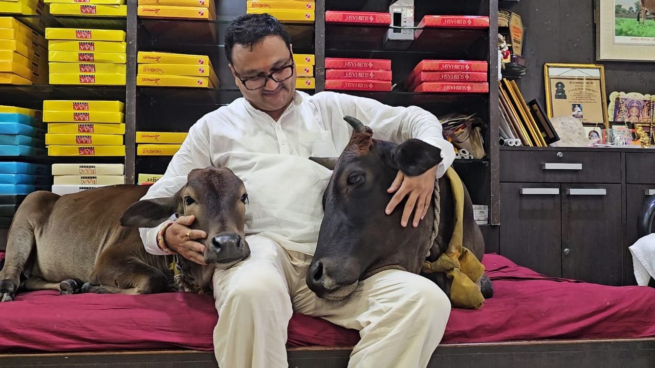 गौ संरक्षण के साथ पर्यावरण बचाने का अनूठा मॉडल बना मनोहर गौशाला, पांच साल में लगाए 5000 पौधे