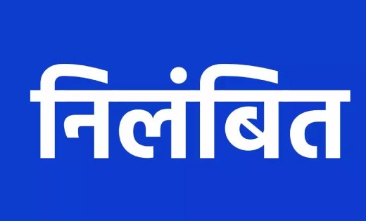 सुशासन तिहार की शिकायत के बाद बड़ी कार्रवाई, लापरवाह पटवारी तत्काल निलंबित