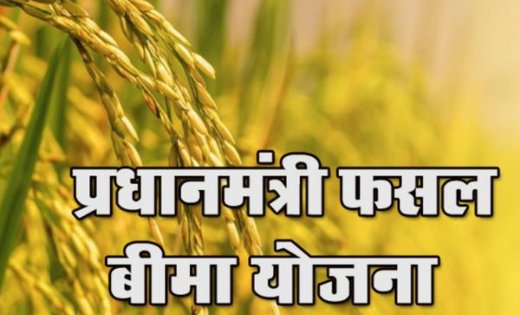 बारिश और मौसम के जोखिम से पहले किसानों के लिए जरूरी कदम…इस तारीख तक करा लें फसल का बीमा