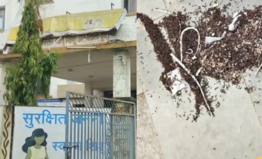 जहां नवजातों की किलकारी गूंजनी थी, वहां चींटियों ने रोक दिए ऑपरेशन! दुर्ग जिला अस्पताल की चौंकाने वाली तस्वीर