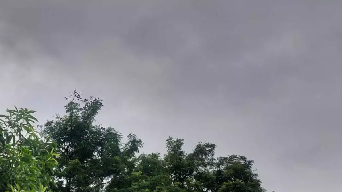 Weather Update: दिल्ली पहुंचा मॉनसून, छत्तीसगढ़ समेत कई राज्यों में आज भारी बारिश का अलर्ट