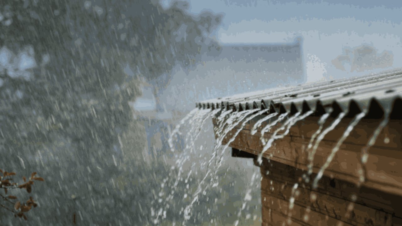 CG Weather Update: छत्तीसगढ़ में आज भी बारिश का अलर्ट, कई जिलों में गरज-चमक के साथ होगी झमाझम बरसात