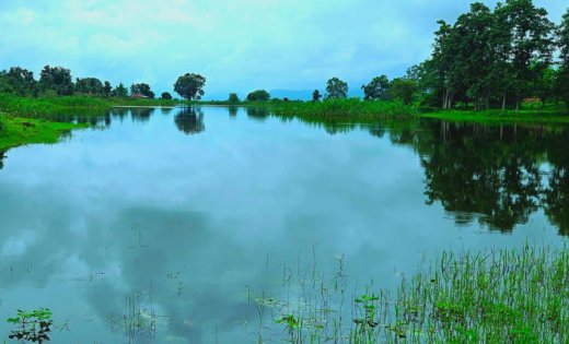 रायपुर : जहाँ कभी पानी की थी चिंता, आज हर मौसम में जीवन का आधार बना जल स्रोत