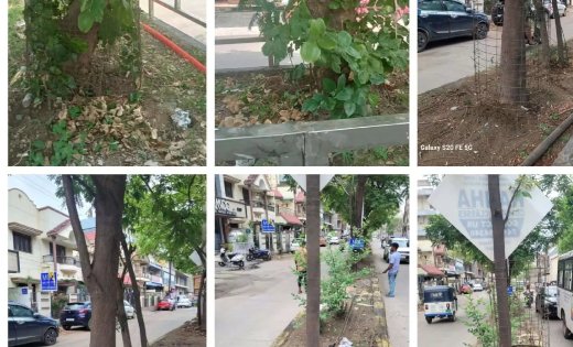 रायपुर में पेड़ों को मिली खुली सांस: 2302 ट्री गार्ड और 571 कंक्रीट घेरे हटाकर शुरू हुआ हरियाली बचाने का बड़ा अभियान