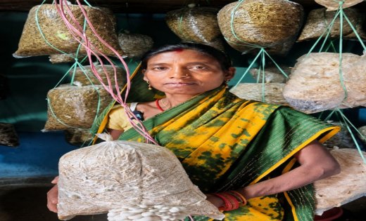 बिहान से मिली नई राह, बबली यादव ने कई काम शुरू कर गांव में बनाई आत्मनिर्भर पहचान