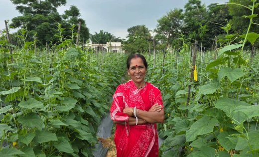 बिहान से बहनों को मिला आर्थिक संबल, खीरे की खेती से सुभद्रा मंडल ने लिखी आत्मनिर्भरता की नई कहानी