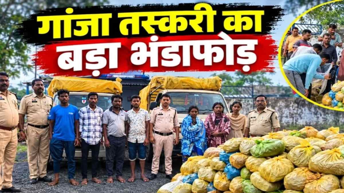 MCB में गांजा तस्करी के बड़े नेटवर्क का खुलासा, दो पिकअप से 9 क्विंटल से ज्यादा गांजा जब्त; 6 गिरफ्तार