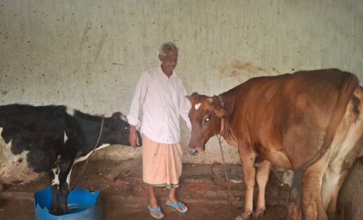 पीएम किसान सम्मान निधि की बचत से खरीदी पहली गाय, आज 10 गायों के साथ आत्मनिर्भर बने 75 वर्षीय परशुराम गुप्ता….