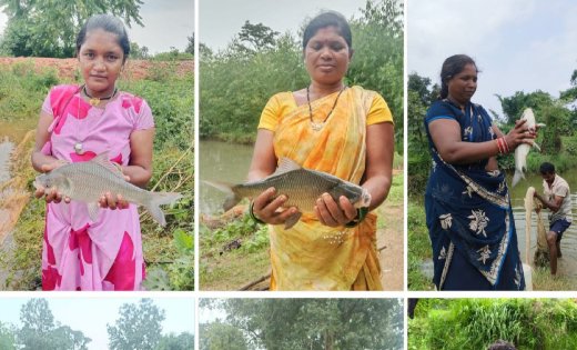 रायपुर : ​बहता पानी लाया खुशहाली: कुकरेल में 200 से अधिक फार्म पॉन्ड बने जल संरक्षण और आजीविका का सशक्त मॉडल