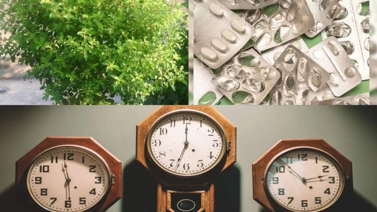 नवरात्र से पहले घर की सफाई में सिर्फ धूल पर न दें ध्यान, ये 5 चीजें भी तुरंत निकालें