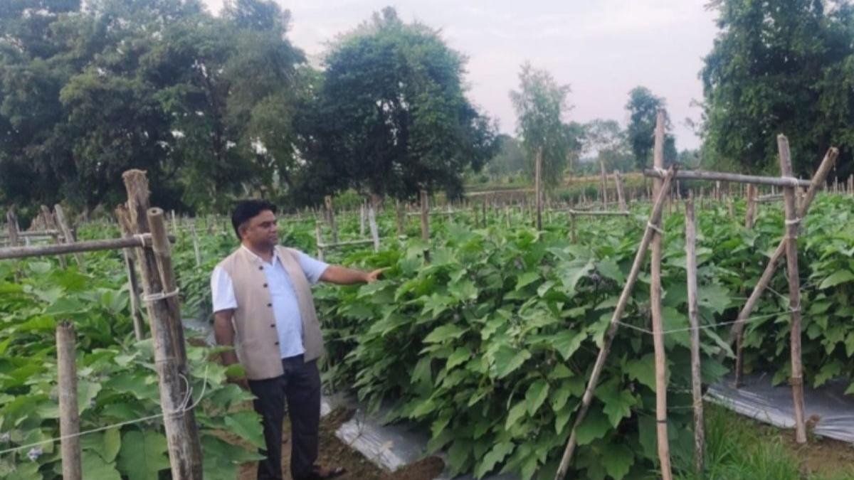 15 लाख के कर्ज से 400 एकड़ की खेती तक का सफर, धमतरी के किसान अरुण सार्वा ने बदली अपनी तकदीर