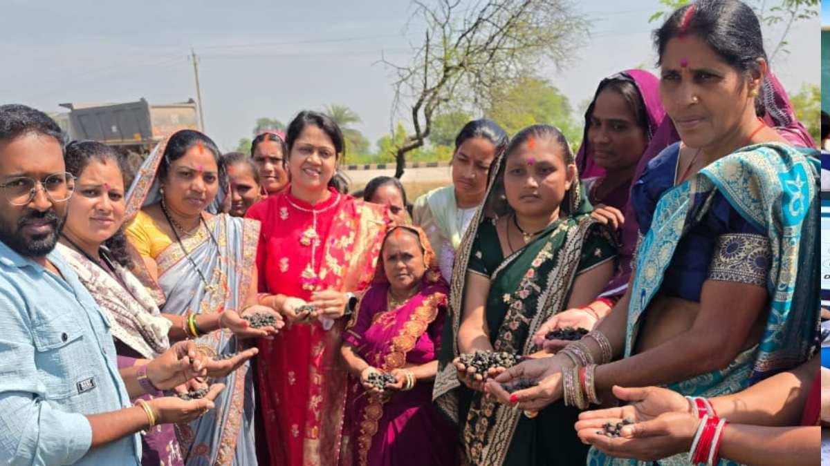 धमतरी : मखाना की खेती से आत्मनिर्भरता की ओर बढ़ रहीं धमतरी की महिलाएं