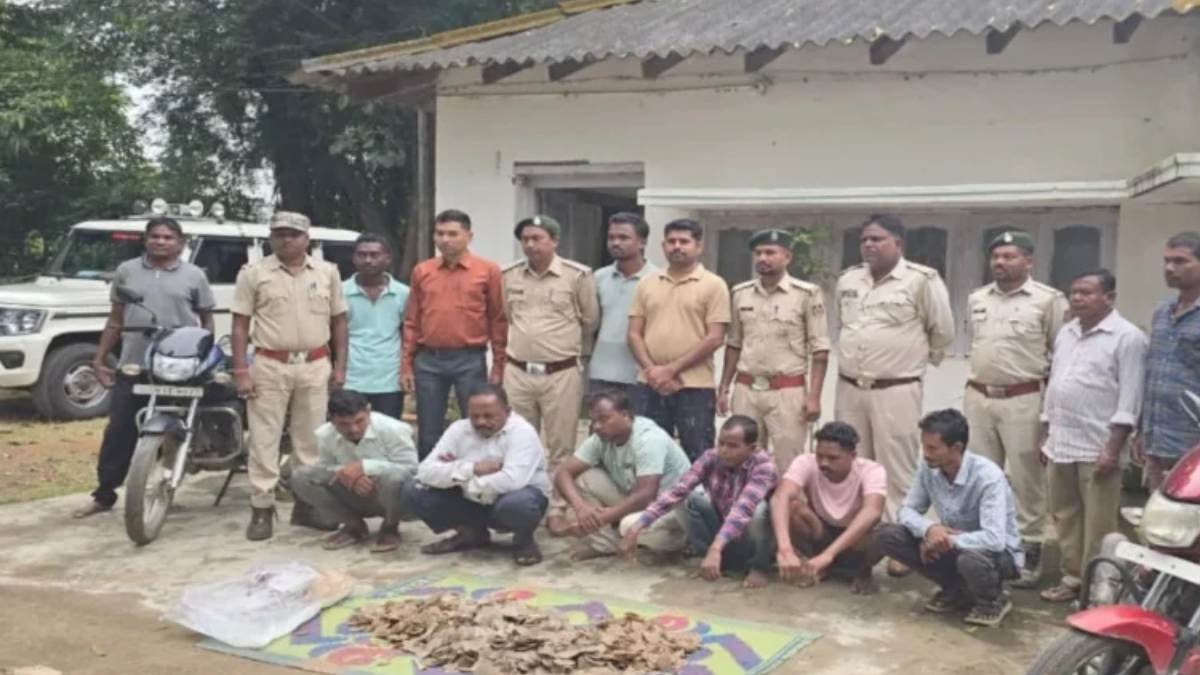 दंतेवाड़ा में पैंगोलिन तस्करी का भंडाफोड़, 14 किलो खाल-शल्क के साथ 6 आरोपी गिरफ्तार